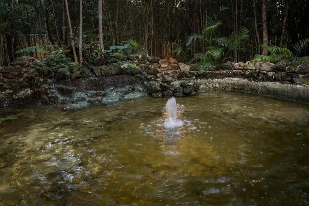 Hermosa Villa Con Espacios De Naturaleza Y Yoga Puerto Morelos 0*,  Mexico