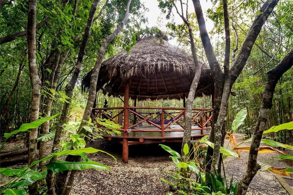 Hermosa Villa Con Espacios De Naturaleza Y Yoga Puerto Morelos