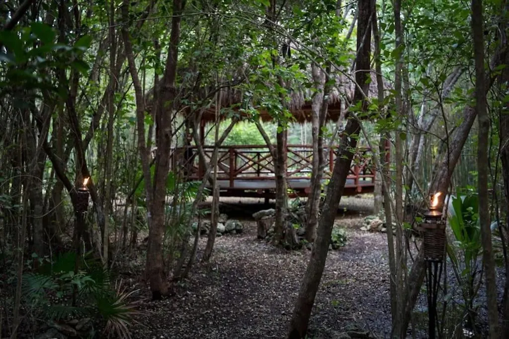 Hermosa Villa Con Espacios De Naturaleza Y Yoga Puerto Morelos