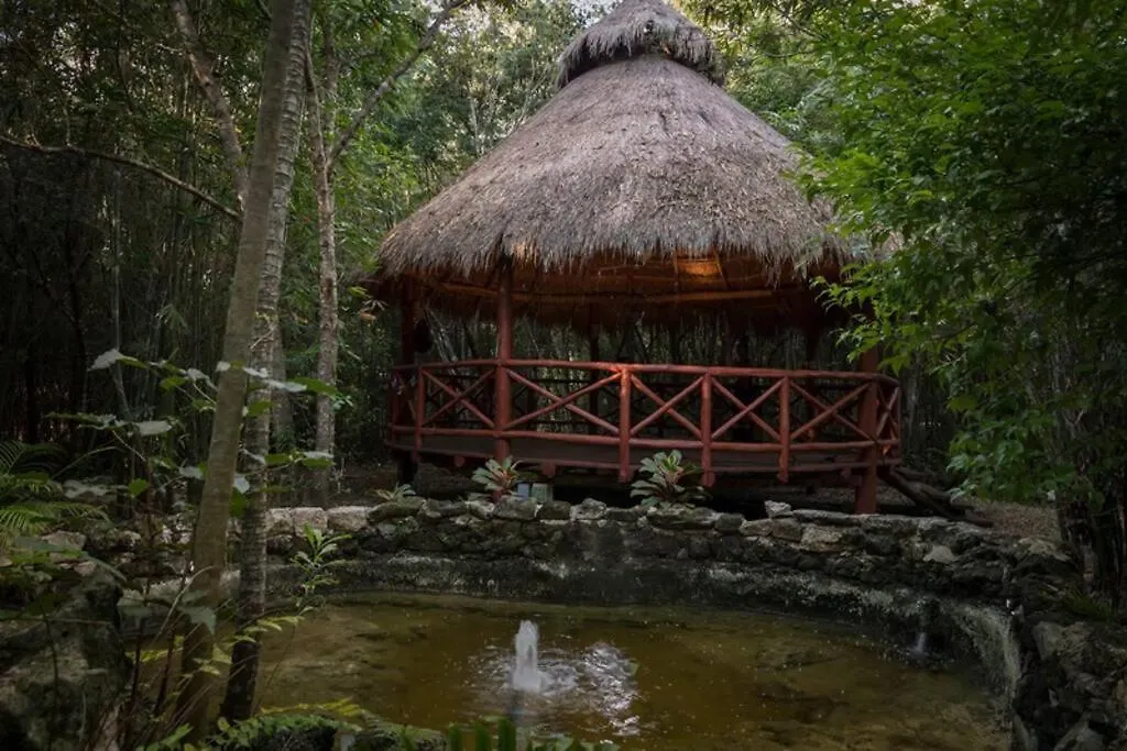 Hermosa Villa Con Espacios De Naturaleza Y Yoga Puerto Morelos