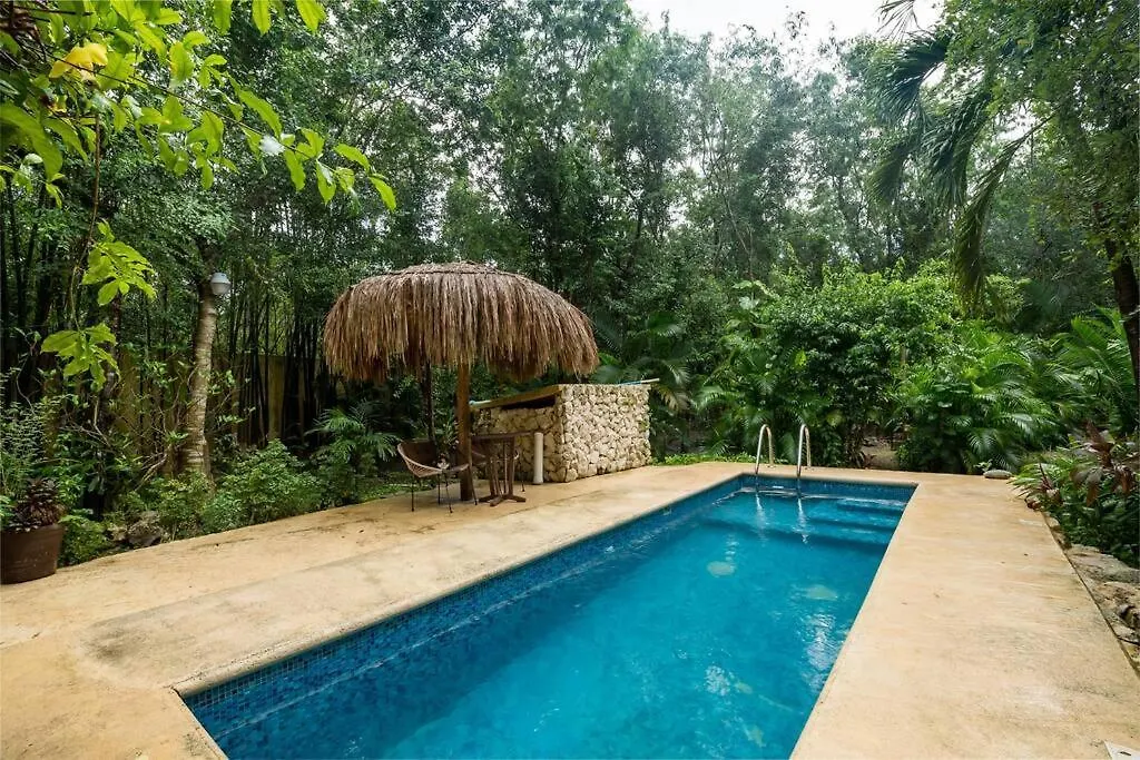 Hermosa Villa Con Espacios De Naturaleza Y Yoga Puerto Morelos