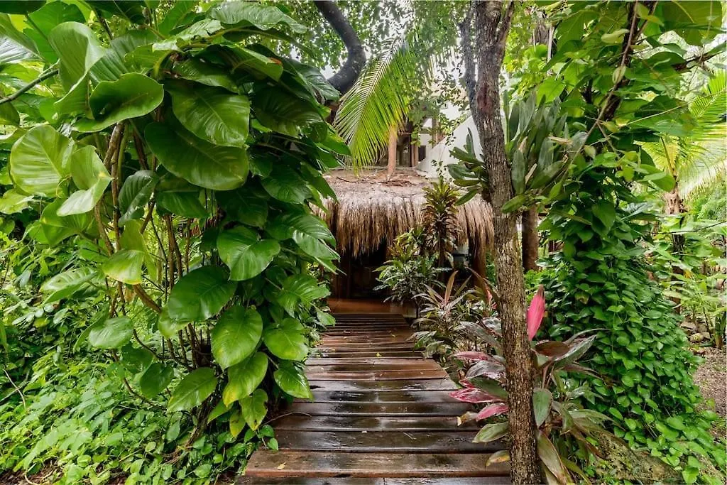 Hermosa Villa Con Espacios De Naturaleza Y Yoga Puerto Morelos